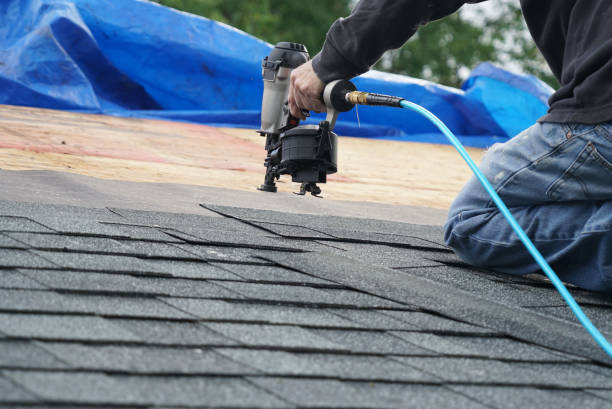Best Roof Ventilation Installation  in Fern Acres, HI