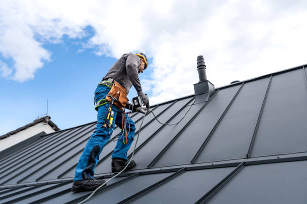 Best Asphalt Shingle Roofing  in Fern Acres, HI