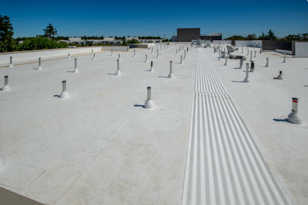 Best Sheet Metal Roofing  in Fern Acres, HI